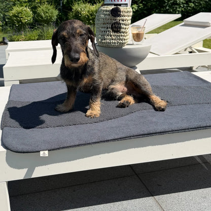 Hundedecke Oto | Hellgrau
