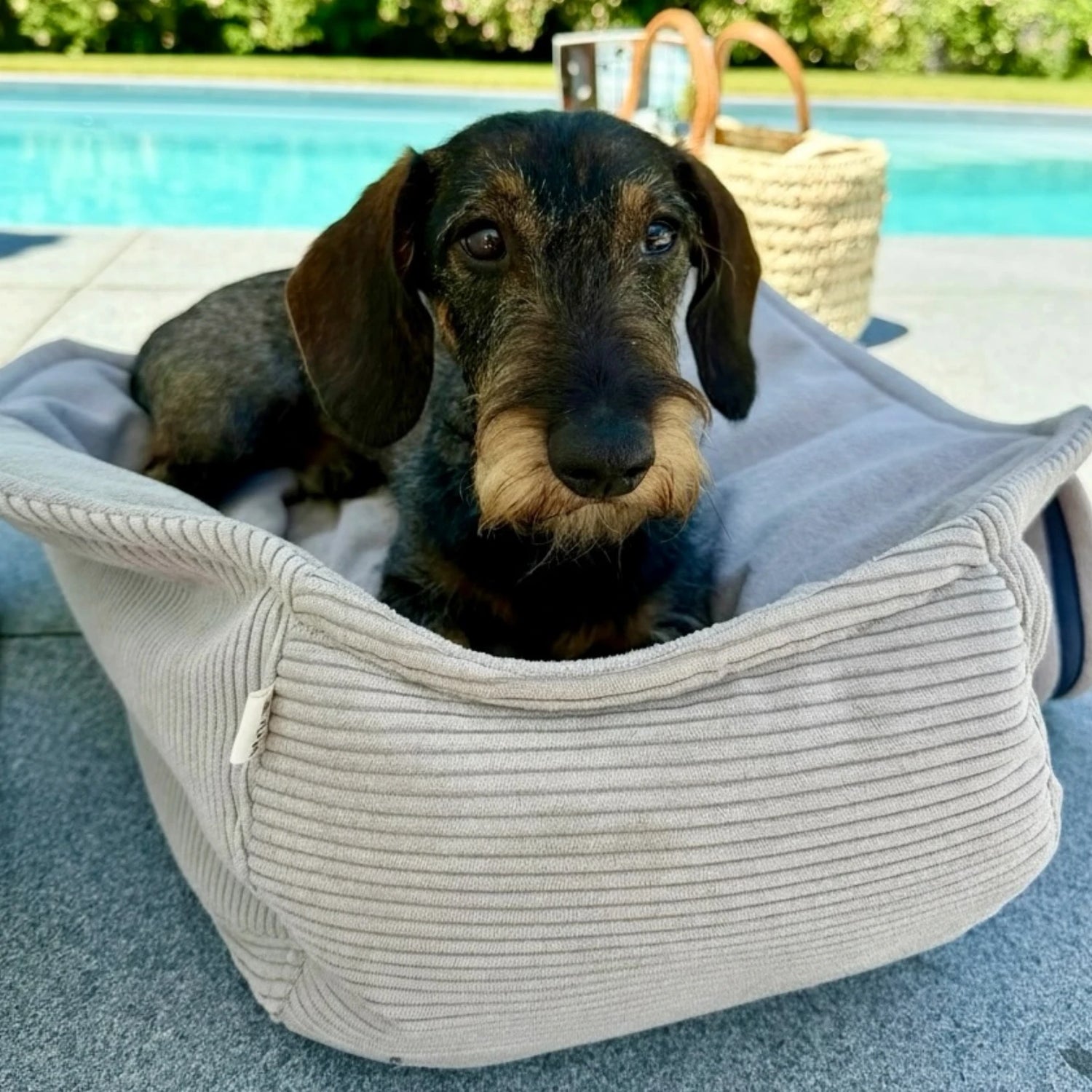 Hundetaschenkörbchen Oka | Hellgrau | Sommer Edition