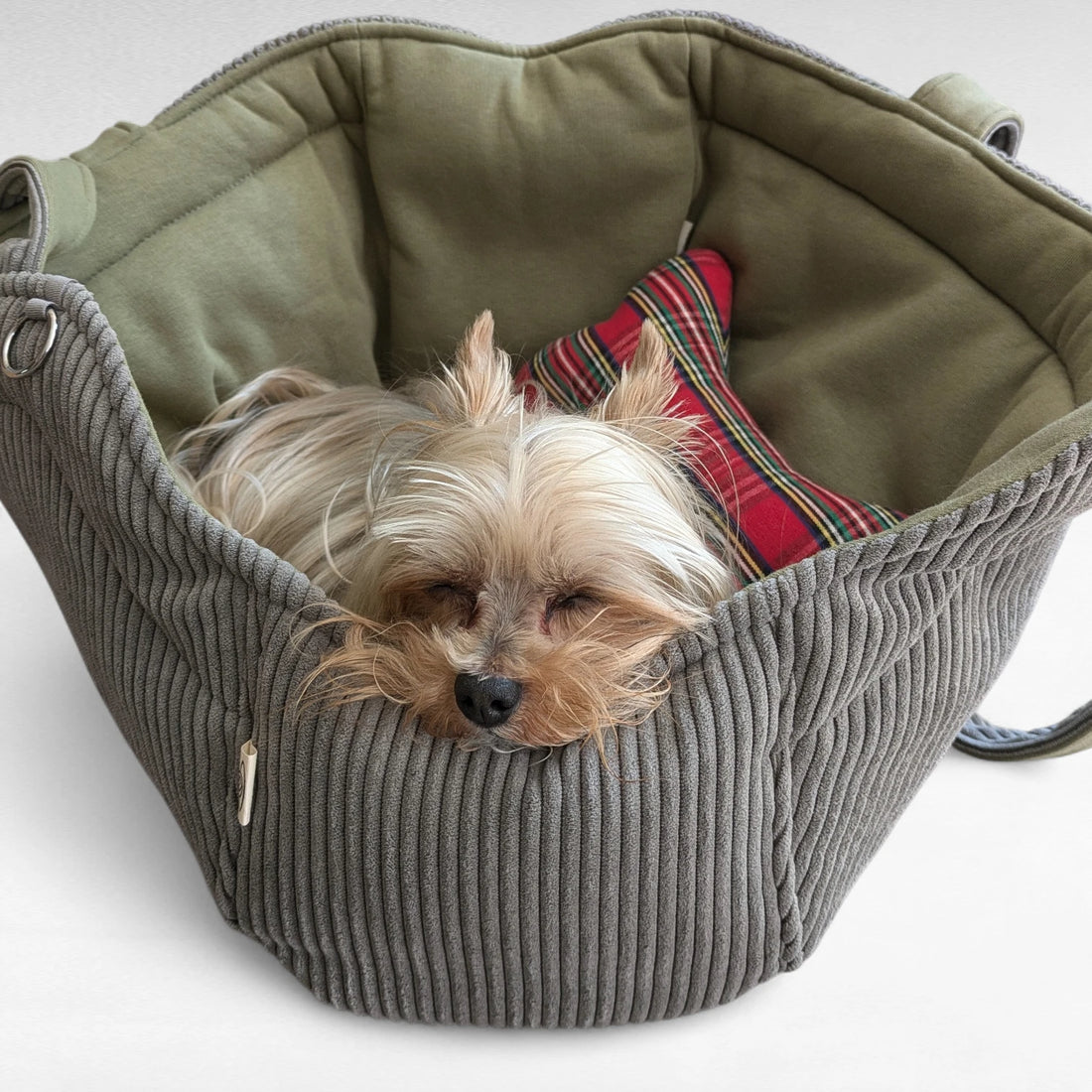 Halbrunde Hundetasche aus Cord grau mit Sweatstoff-Futter in Farbe Pistazie mit 2 Tragegurten aus Cordstoff und schlafendem Yorkshire Terrier drin liegend