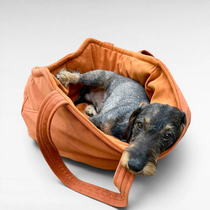 Rauhaardackel liegt entspannt und gemütlich in cognacfarbener Hundetasche Hiori für Hunde bis 9 kg