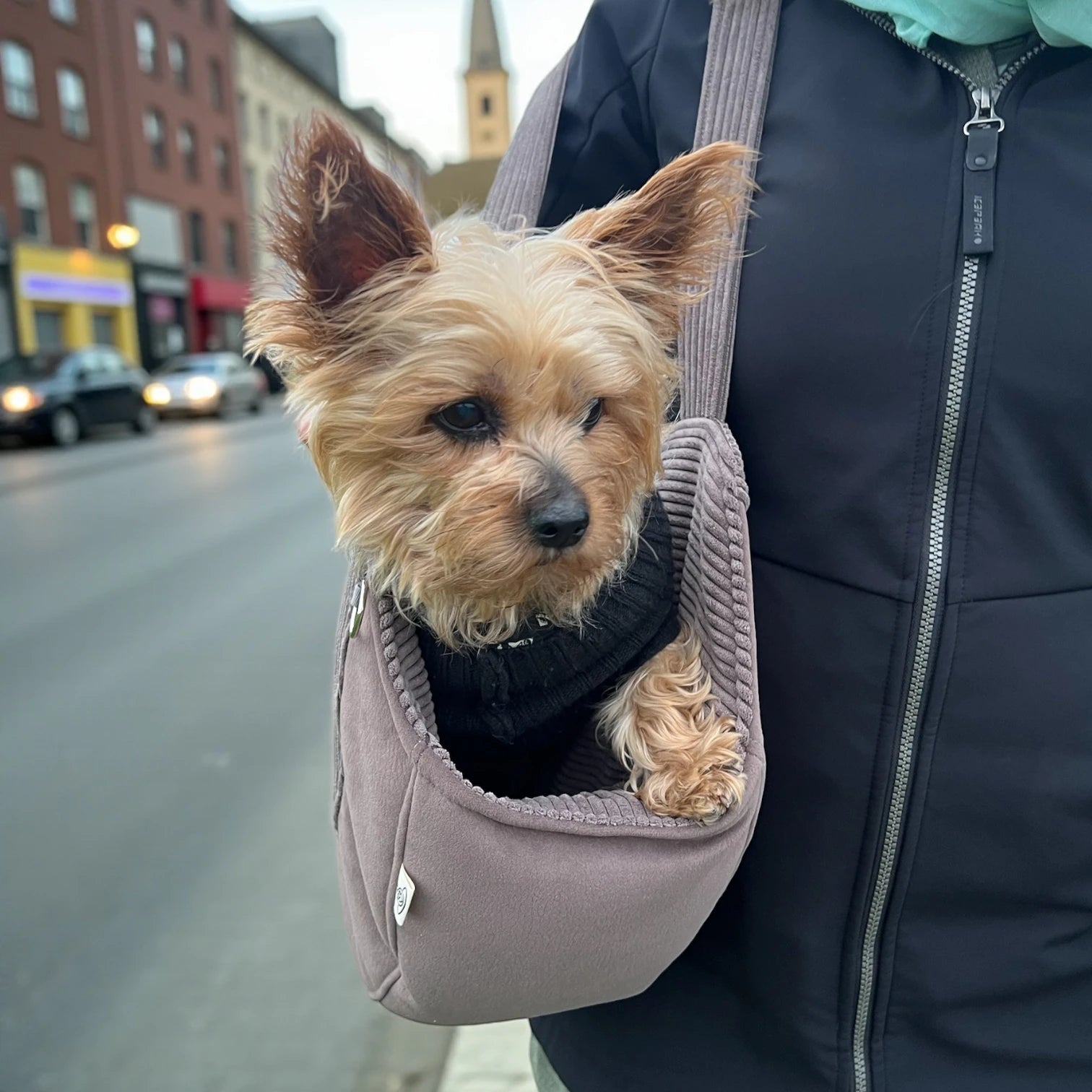 Hundetasche Mika | Hundetragetasche &amp; Körbchen bis 5 kg | Taupe